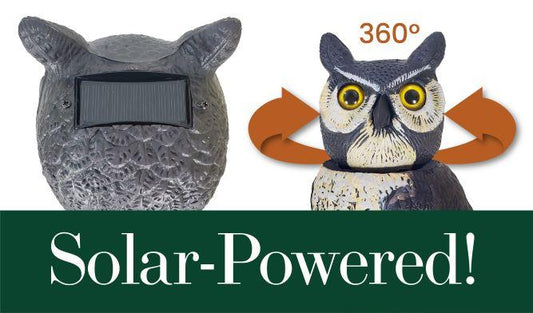 SOL-R Solar & Wind Power Owl Decoy - 18" Eco-Action Energy Scarecrow Bird