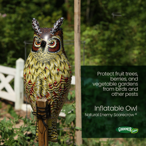 Inflatable Owl - 24" Natural Enemy Scarecrow